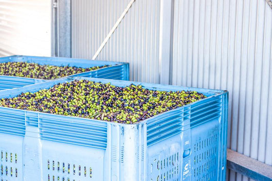 Pukara Estate Lemon EVOO 250ml